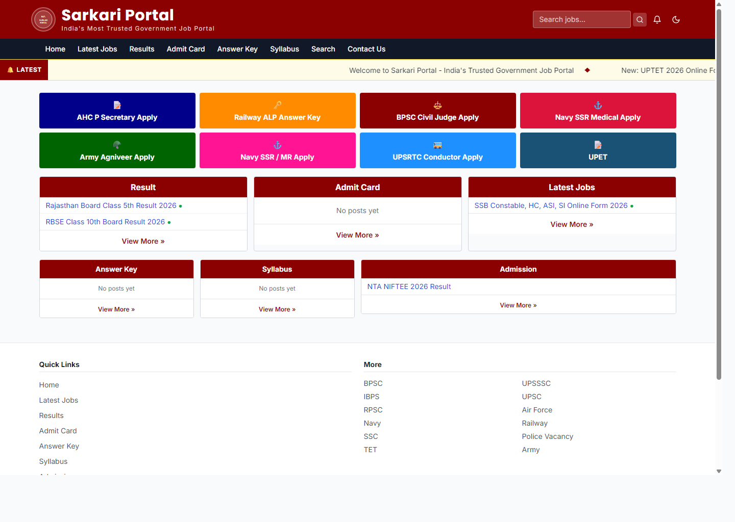 Developer portfolio preview